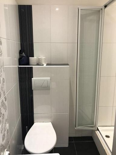 Stara Louka Apartments Karlovy Vary Esterno foto